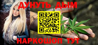 индика Гусев