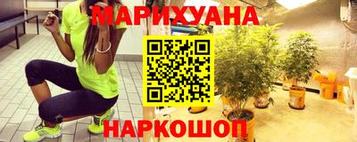 индика Гусев