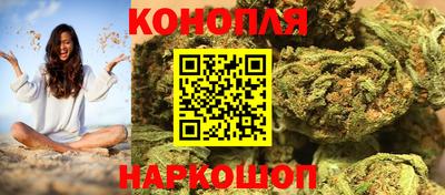 индика Гусев