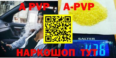 индика Гусев