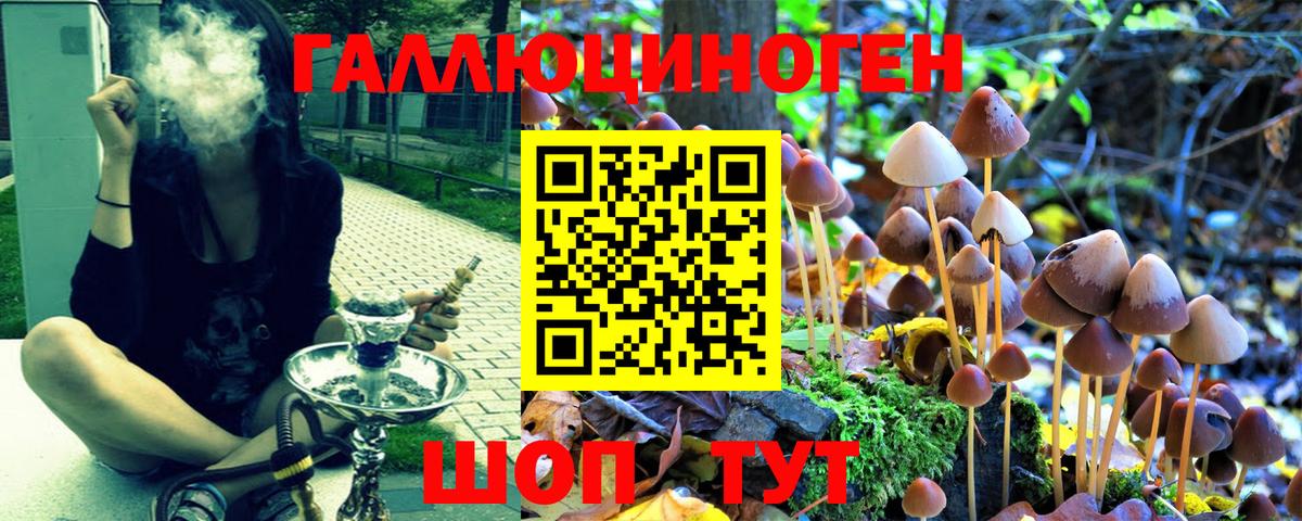 Псилоцибиновые грибы MAGIC MUSHROOMS  Вход с VPN  Мелеуз 